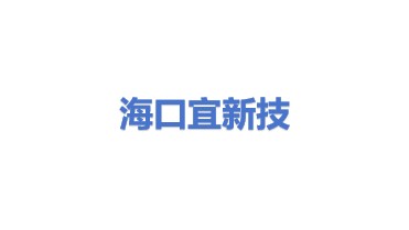 海口宜新技术服务有限公司