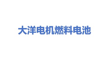 大洋电机燃料电池（成都）有限公司