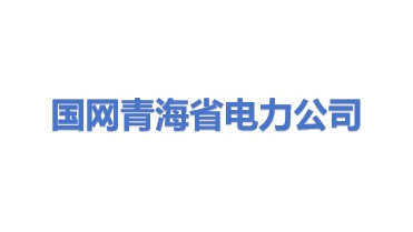 国网青海省电力公司