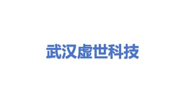 武汉虚世科技有限公司