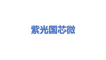 紫光国芯微电子股份有限公司