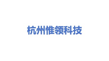 杭州惟领科技有限公司