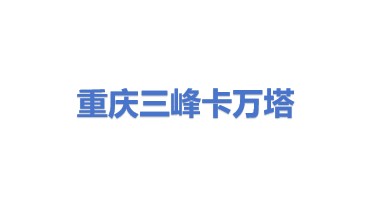 重庆三峰卡万塔环境产业有限公司