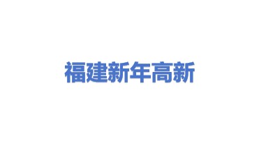 福建新年高新技术服务有限公司