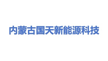 内蒙古国天新能源科技有限公司