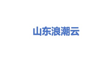 山东浪潮云服务信息科技有限公司