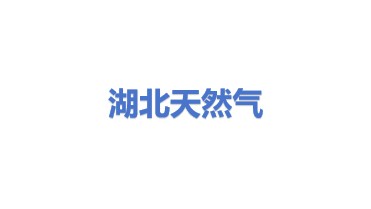 湖北省天然气发展有限公司