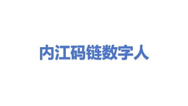 内江码链数字人科技有限公司