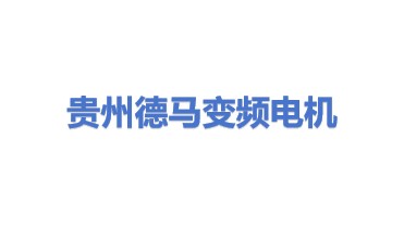 贵州德马变频电机研发制造有限公司