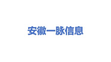 安徽一脉信息科技有限公司