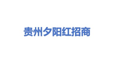 贵州夕阳红一日能源交通招商引资项目服务有限公司