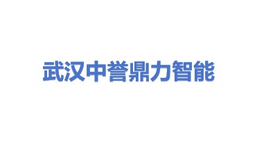 武汉中誉鼎力智能科技有限公司