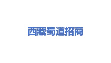 西藏蜀道招商引资服务有限公司