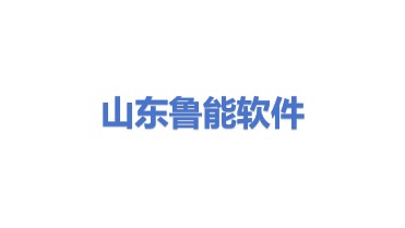 山东鲁能软件技术有限公司