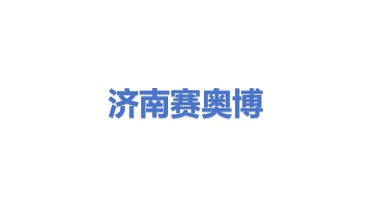 济南赛奥博动力机械有限公司
