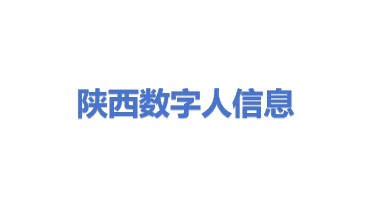 陕西数字人信息科技有限公司