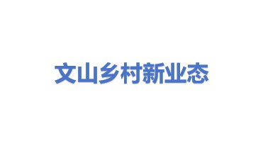文山乡村新业态商贸有限公司
