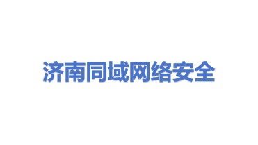 济南同域网络安全技术有限公司