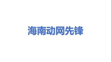 海南动网先锋网络科技有限公司