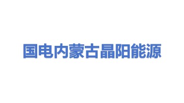 国电内蒙古晶阳能源有限公司
