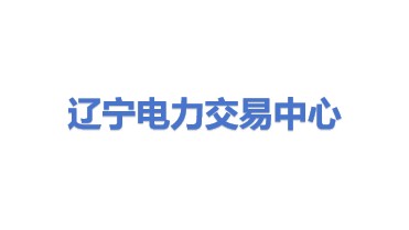 辽宁电力交易中心有限公司