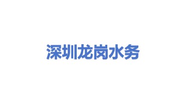 深圳市深水龙岗水务集团有限公司