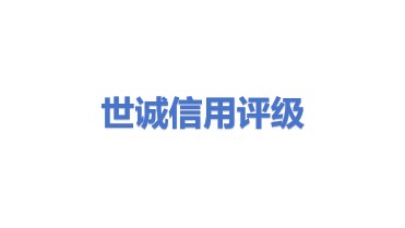 世诚信用评级有限公司