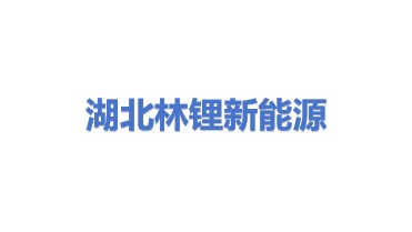 湖北林锂新能源有限公司