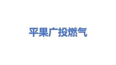 广西平果广投燃气有限公司