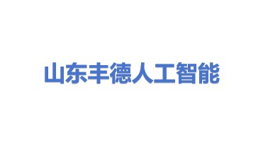 山东丰德人工智能科技有限公司