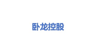 卧龙控股集团有限公司