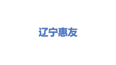 辽宁惠友科技股份有限公司