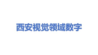 深圳市视觉领域数字科技有限公司西安分公司