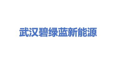 武汉碧绿蓝新能源有限公司