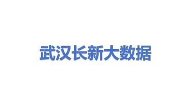 武汉长新大数据产业运营有限公司