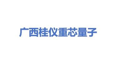 广西桂仪重芯量子科技有限公司