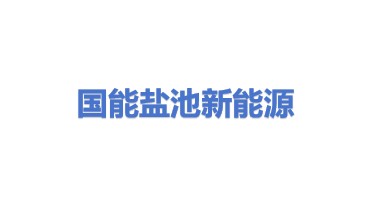 国能盐池新能源有限公司