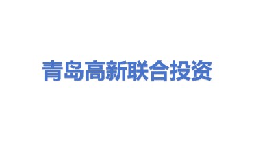 青岛高新联合投资管理有限公司