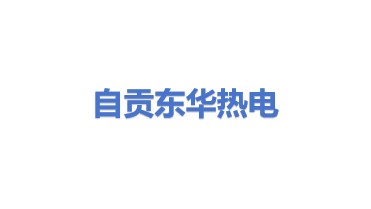 自贡东华热电配套设备有限公司