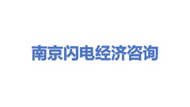 南京闪电经济信息咨询有限公司