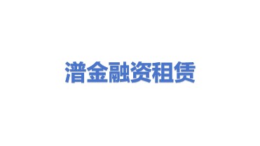 潽金融资租赁有限公司