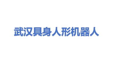 武汉具身智能人形机器人科技有限公司