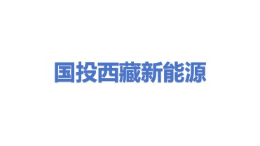 国投西藏新能源有限公司