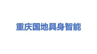 重庆国地共创具身智能机器人有限公司