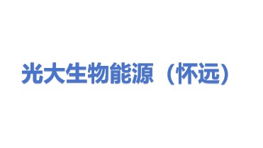 光大生物能源（怀远）有限公司