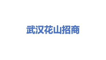 武汉市花山招商引资有限公司
