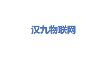 汉九物联网技术服务有限公司
