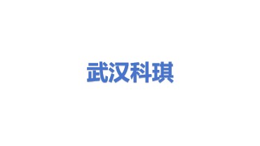 武汉科琪电子有限公司