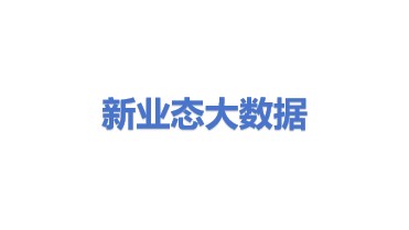 新业态(山东)大数据科技有限公司