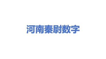 河南秦尉数字技术有限公司